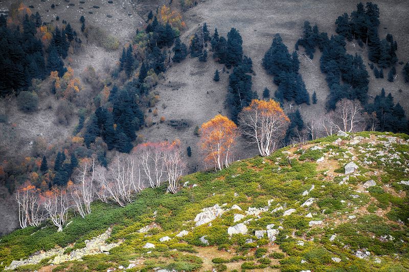 Осеньphoto preview