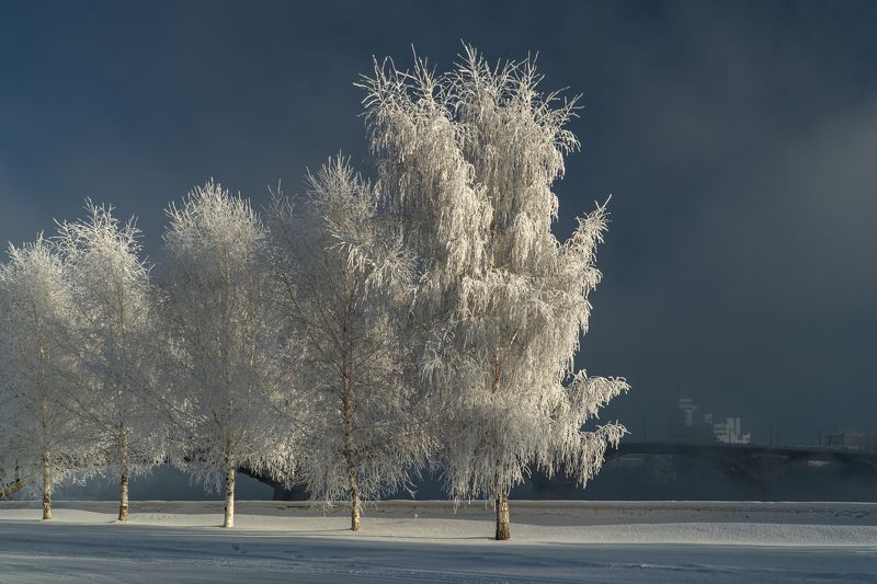 иркутск, ангара, зима, иней, туман Замёрзший Иркутскphoto preview