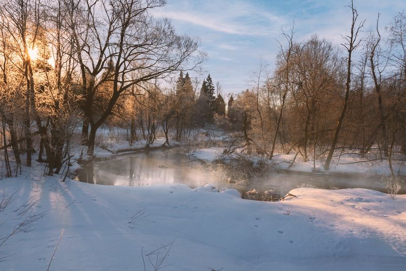 Речка в лесуphoto preview