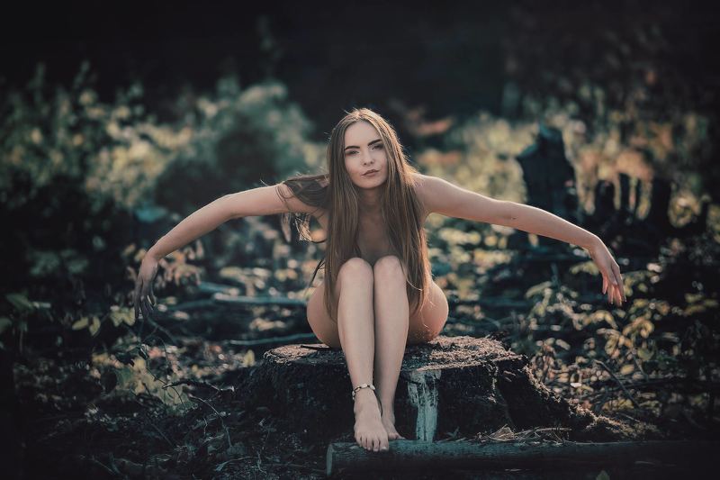 женщина в лесу, феникс, возрождение, обнаженная женщина Фениксphoto preview