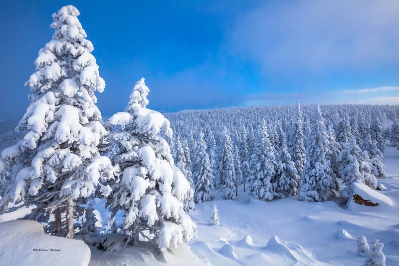 Природа Южного Уралаphoto preview