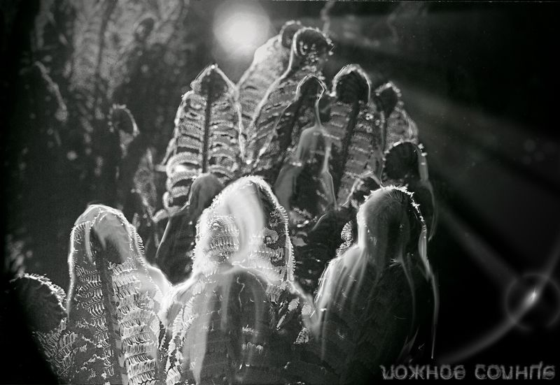 толпа, солнце, луч, надежда, темноота, свет Ложное солнцеphoto preview