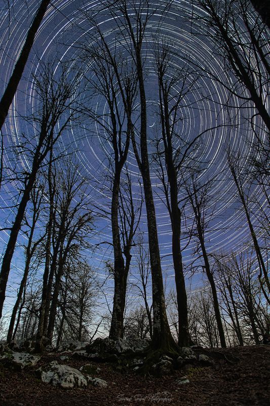 Dream Nightphoto preview