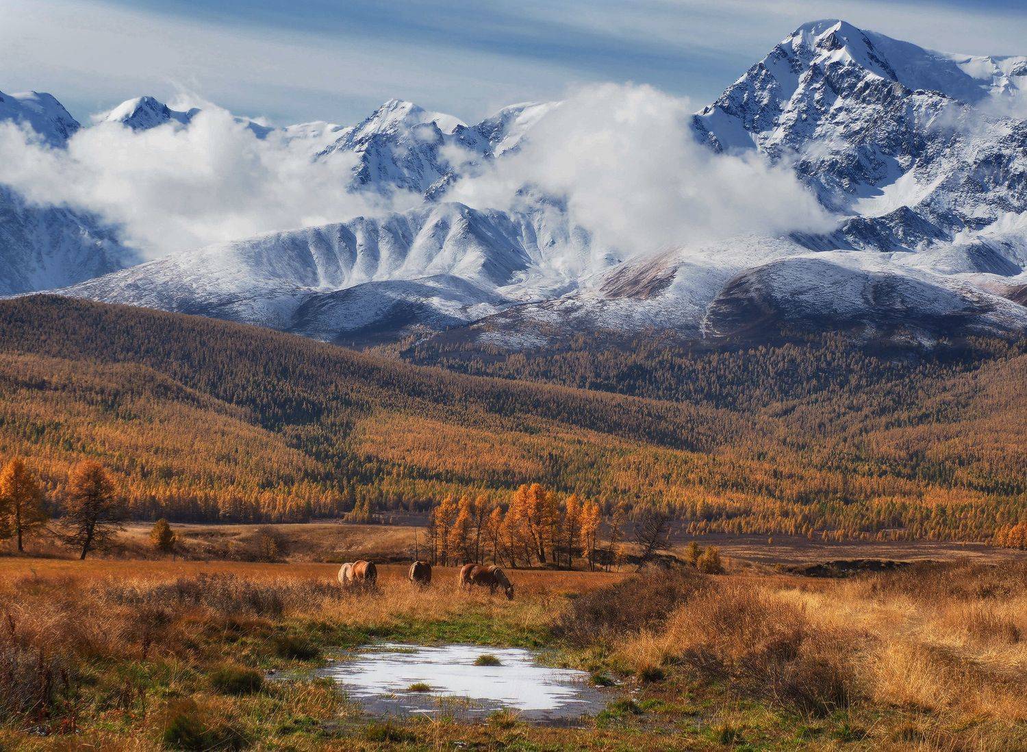 , Галина Хвостенко