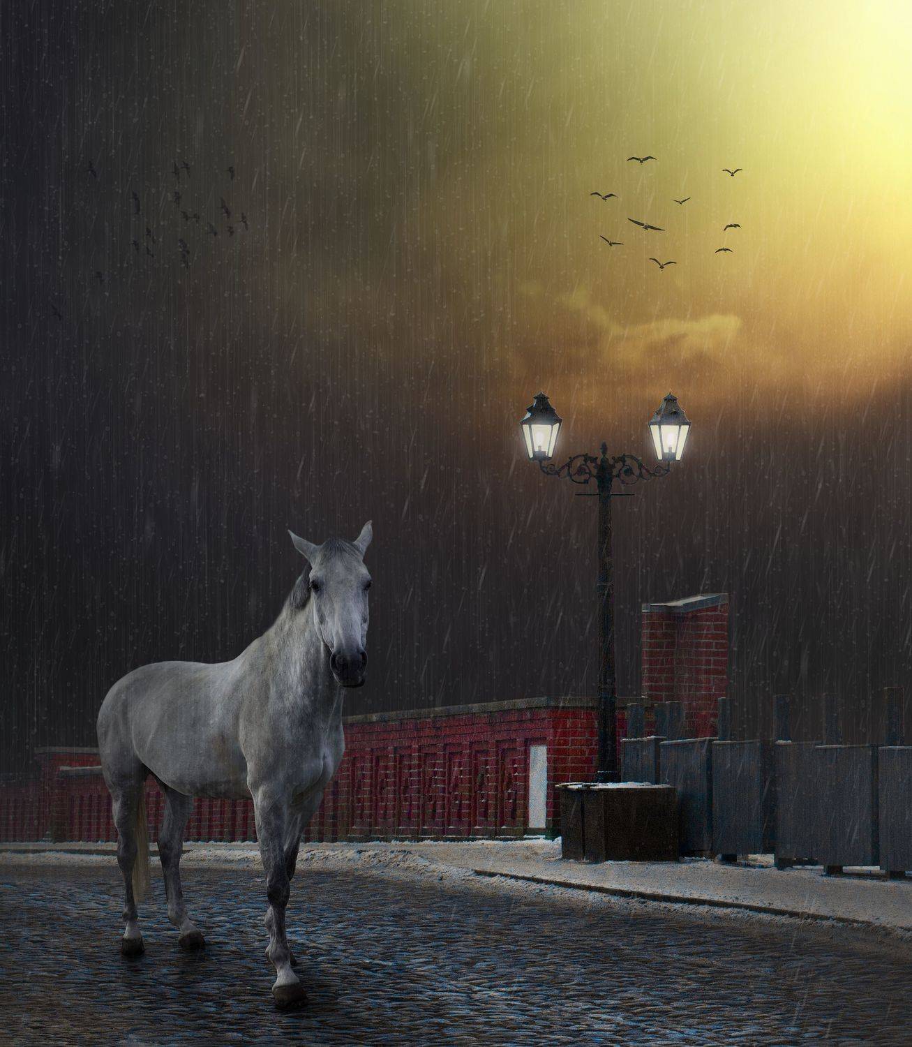 ***. Автор: Ansis Zegners , Ansis Zegners