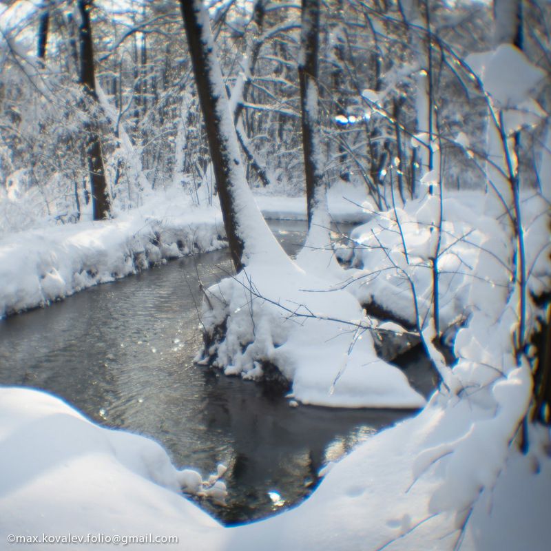 солнечно, снежно, лес, снег, река, вода, берег, Кузьминки, water, river, snow, sunny, forest, Kuzminki, Moscow, Москва Солнечно и снежноphoto preview