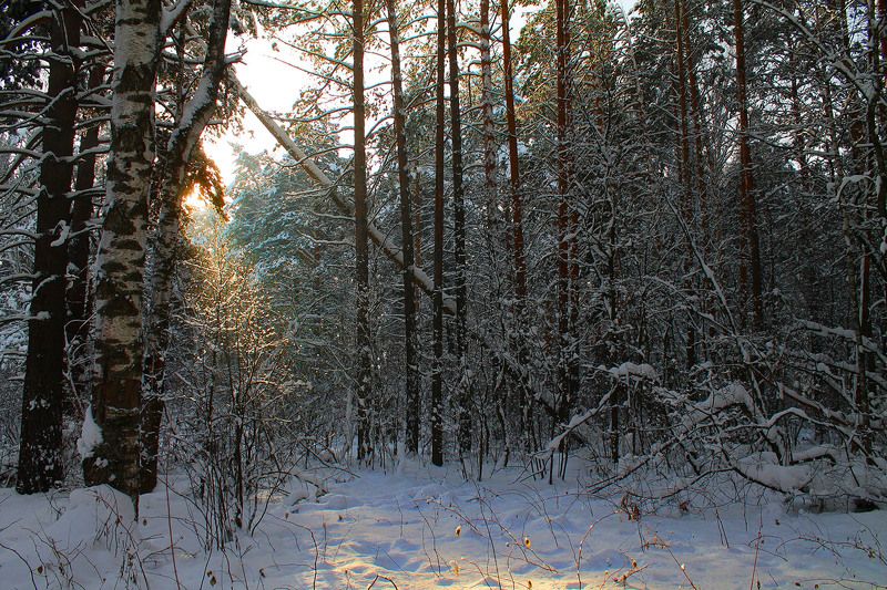 зима, январь, сибирь, россия ...photo preview