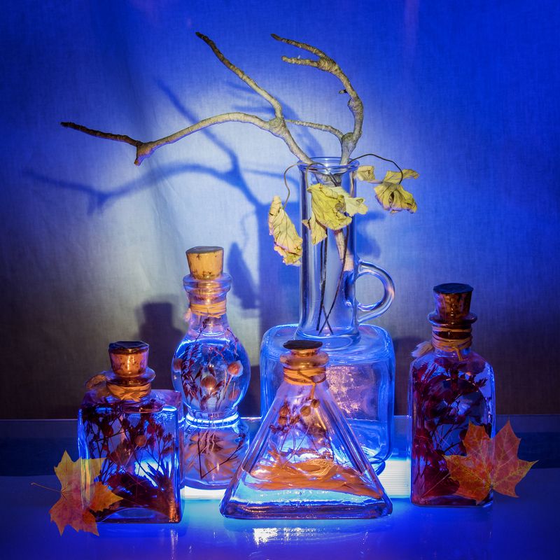 blue, bottles, color, colors, color image, decorative, decorative bottles, glass, leaf, leaves, light, lights, photography, still life, Glass and Light #4photo preview