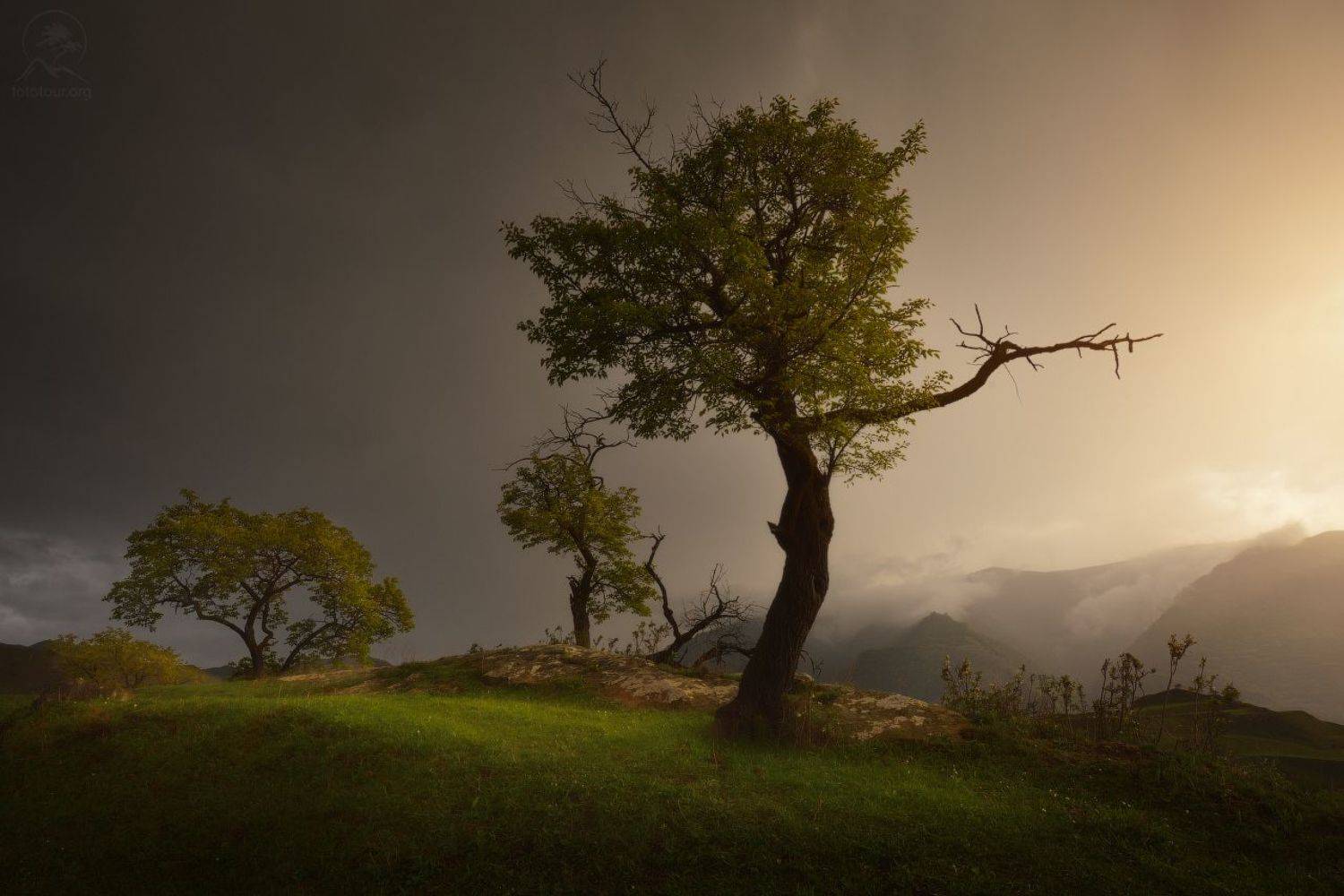 дагестан, террасы, чох, Гордиенко Анатолий