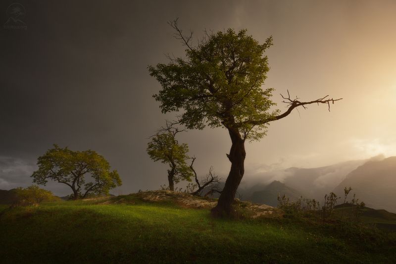 дагестан, террасы, чох В ритме танцаphoto preview