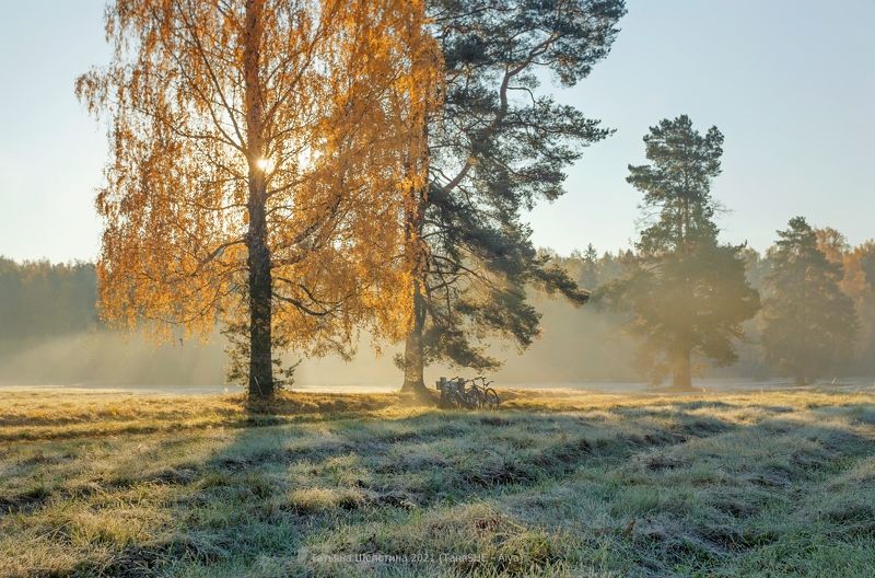 павловск, павловскийпарк, царскоесело, царское, landscape, tsarskoyeselo, autumn Осенняя идиллияphoto preview
