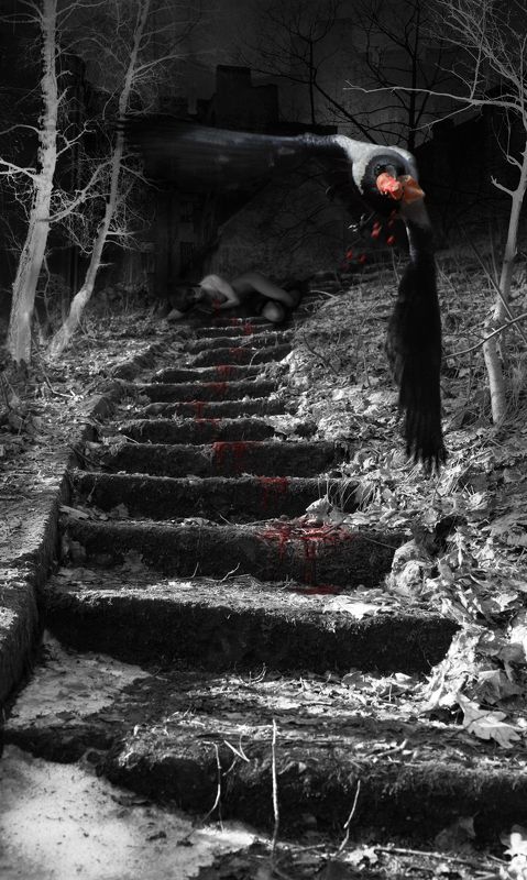 рана, сердце, кровь, птица, полет, лестница, темнота, дерево Краденое сердцеphoto preview