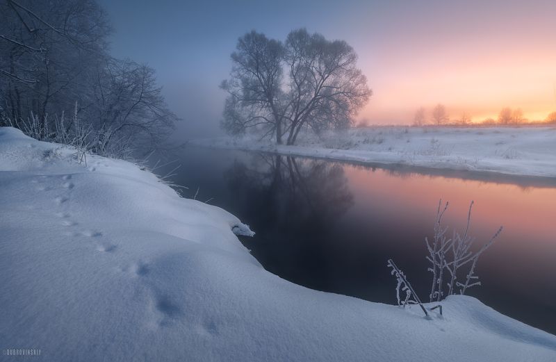 истра, река, туман, иней, рассвет, дерево Рассветнаяphoto preview