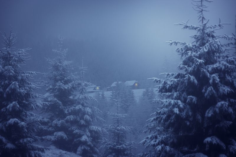 В глуши Карпатphoto preview