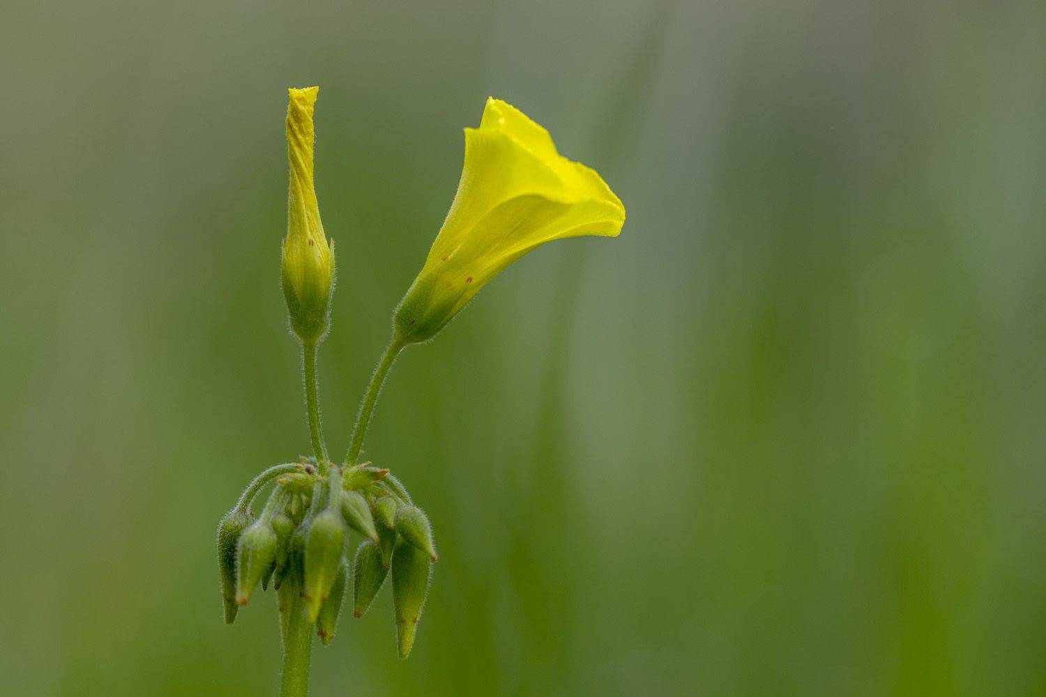 Автор: Nikolay Tatarchuk , Nikolay Tatarchuk