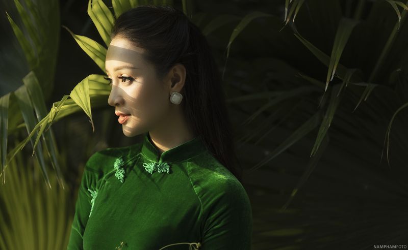 Vietnamese ladyphoto preview