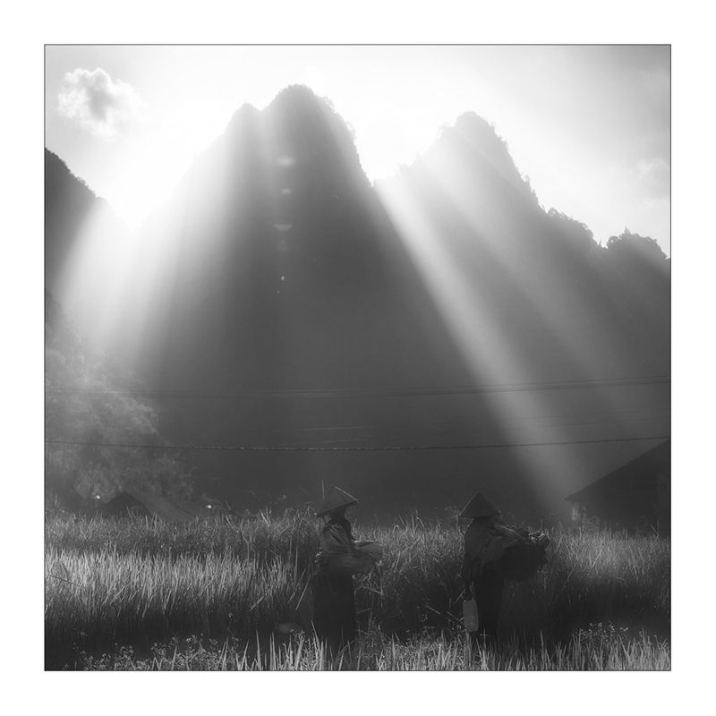 рис, вьетнам, образ, люди, терраса, фотопроект, фототур, выставка, фильм, art Rice&Icon of Vietnamphoto preview