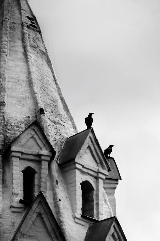 архитектура архитектура фото превью