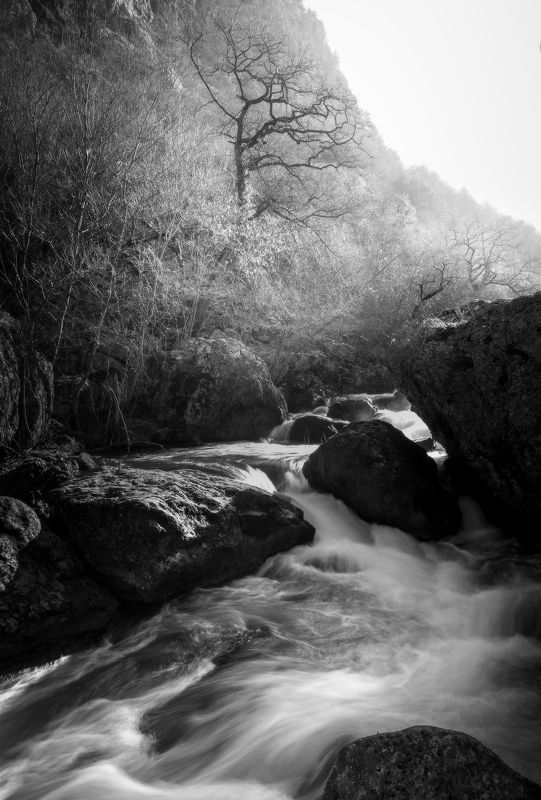 Над бурным потоком...photo preview