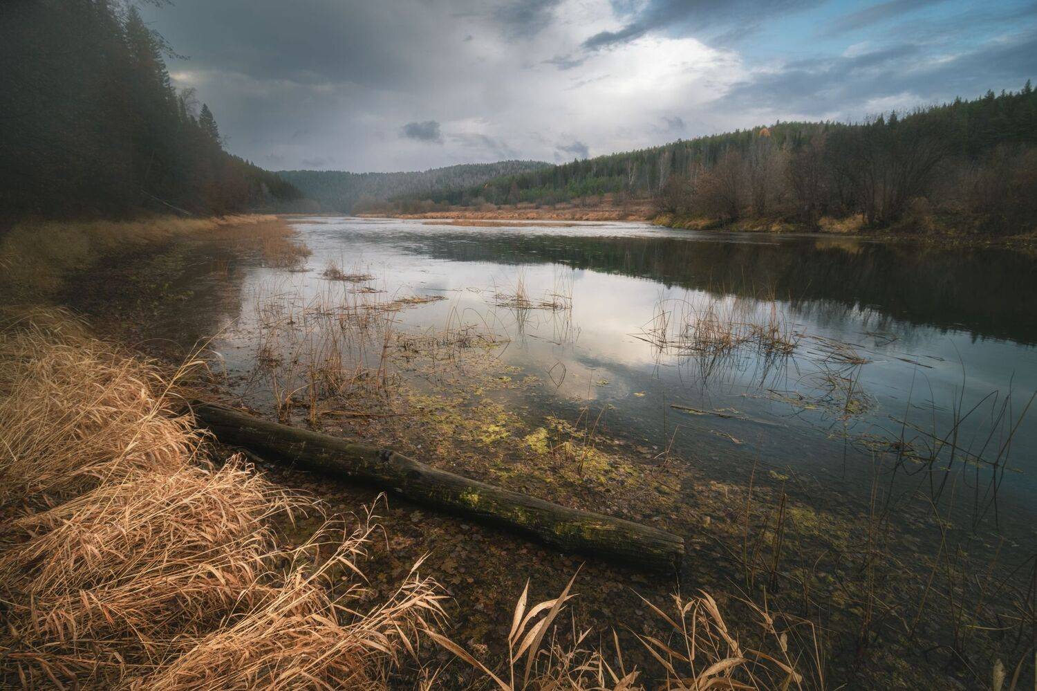 , Котов Андрей