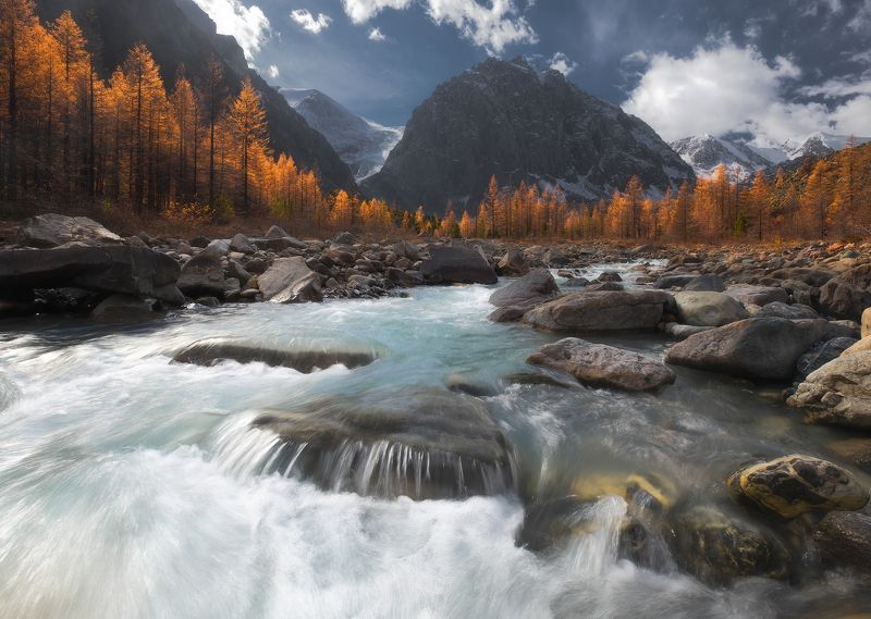 горный алтай, актру, актуру, караташ, лиственницы, утро, горная река, осень, сентябрь Актру фото превью