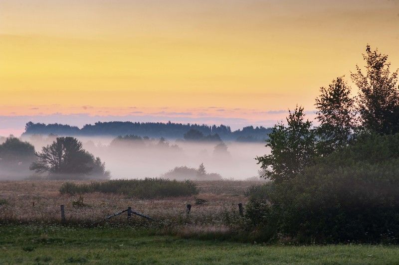 рассвет,туман,россия,лето  Туманные просторы photo preview