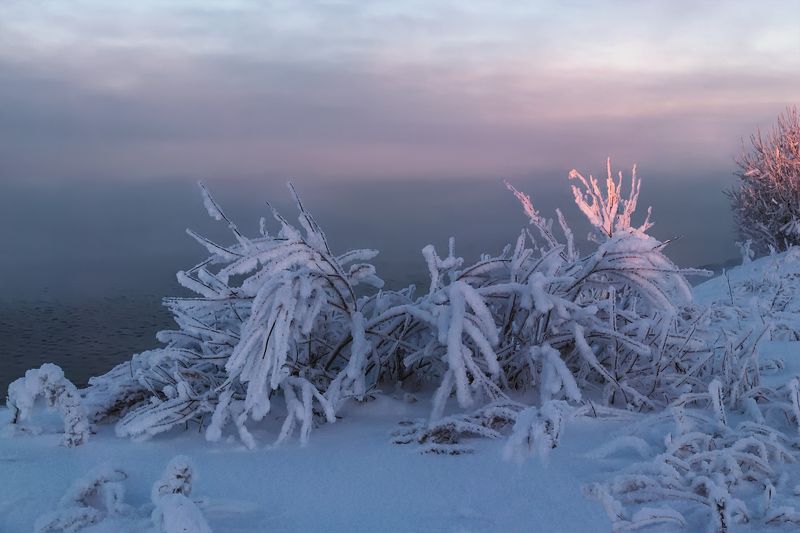 На рассвете у рекиphoto preview