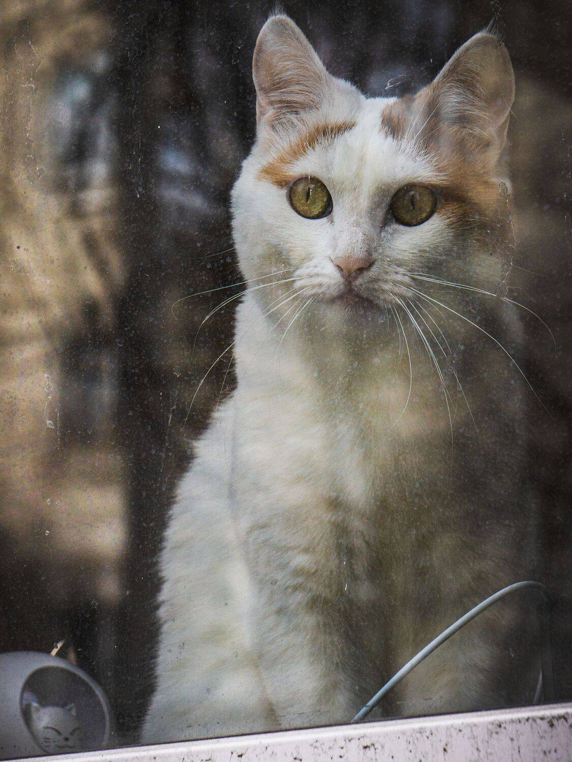 , Вертиков Юрий