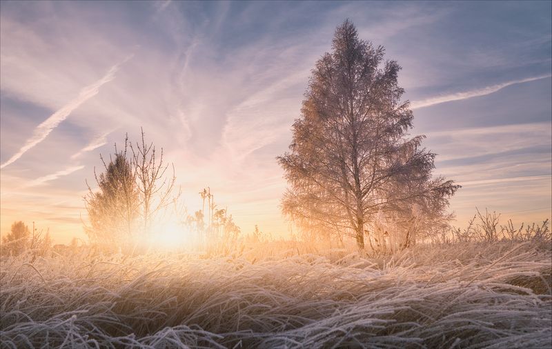Закат в цветах фламинго.photo preview