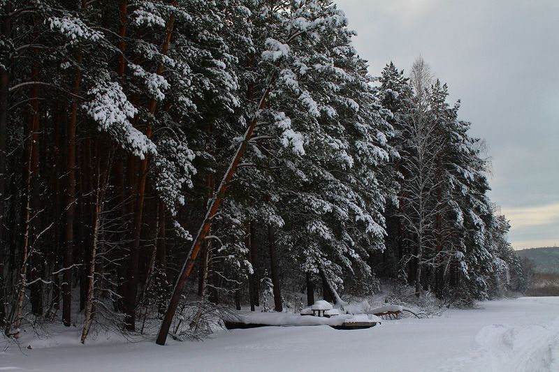 зима, январь, сибирь, россия ...photo preview