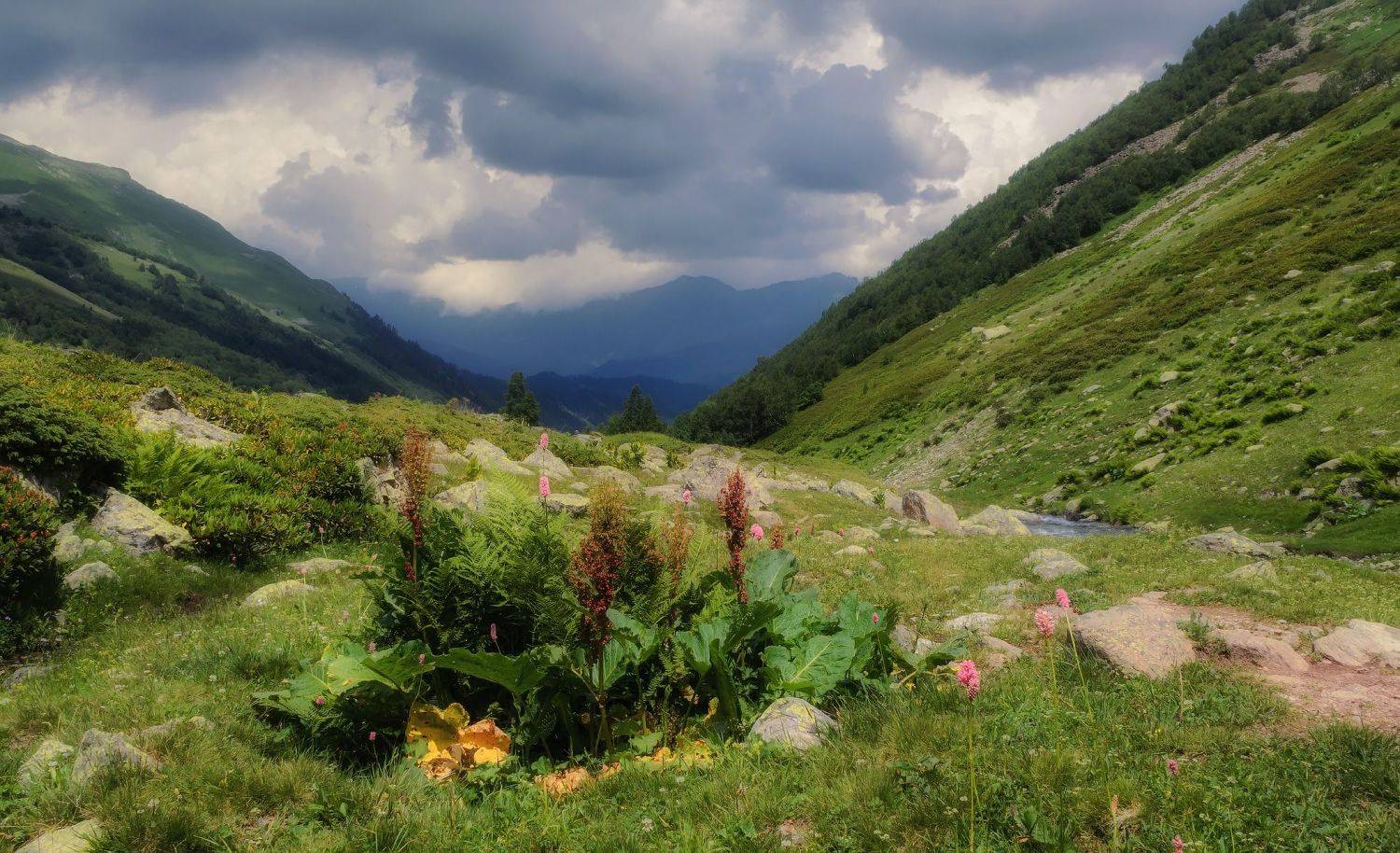 , Лысенко Сергей