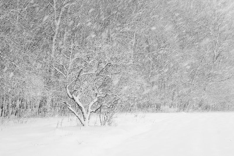 2023 фото превью