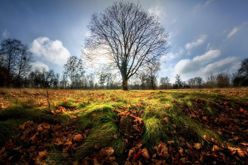 Беларусь Позавчераphoto preview