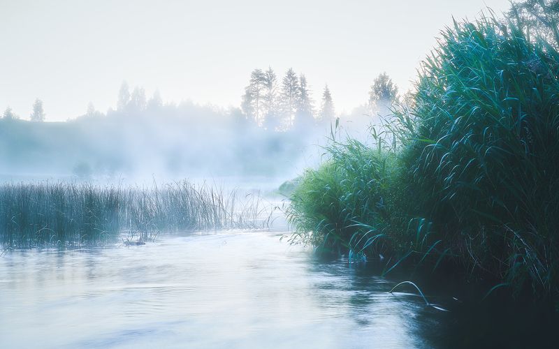 Постоим в тумане, помолчим?photo preview