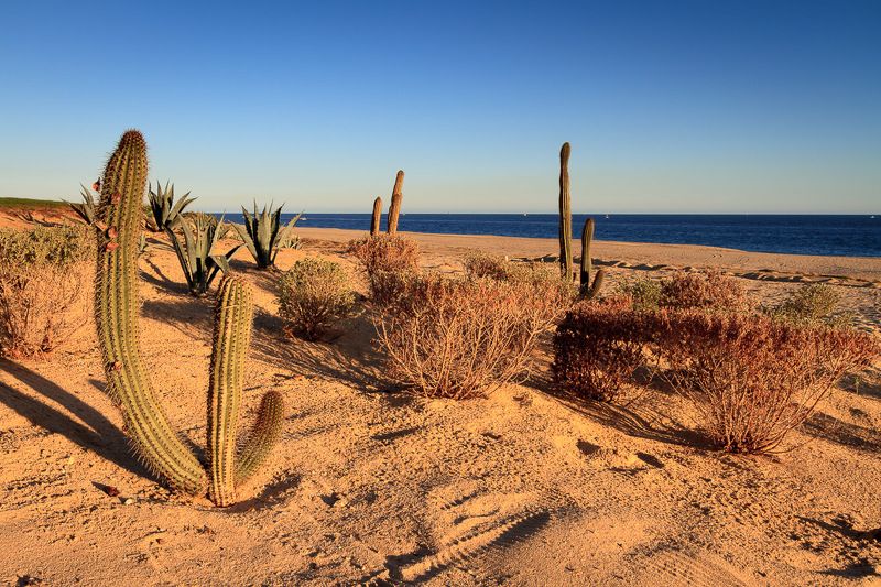 Ну и пляжи тут у вас....колючиеphoto preview