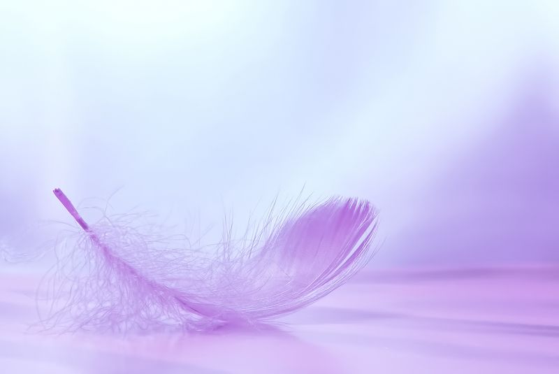 lightness, pink, beauty Lightnessphoto preview