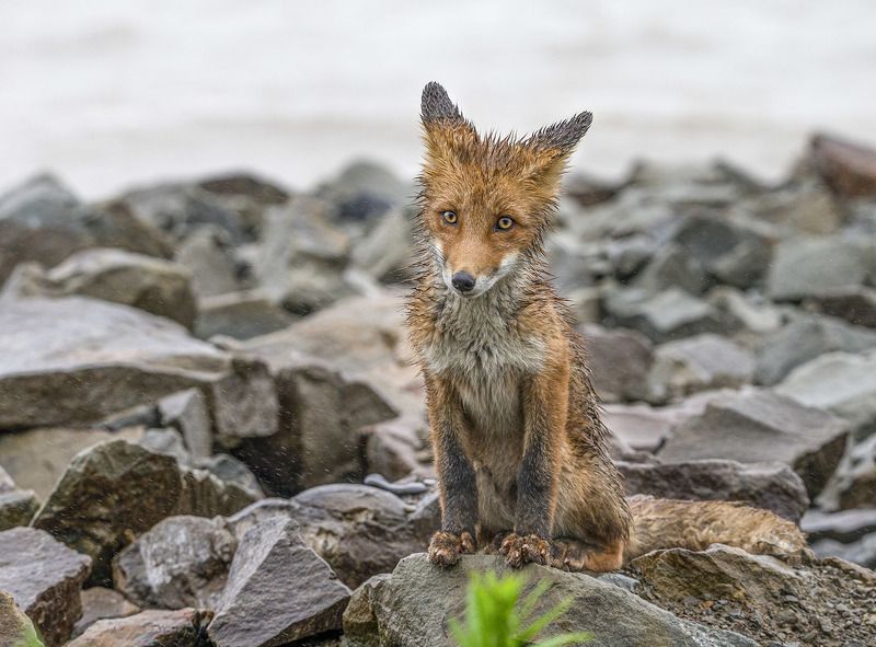 Вот и закончилось детствоphoto preview