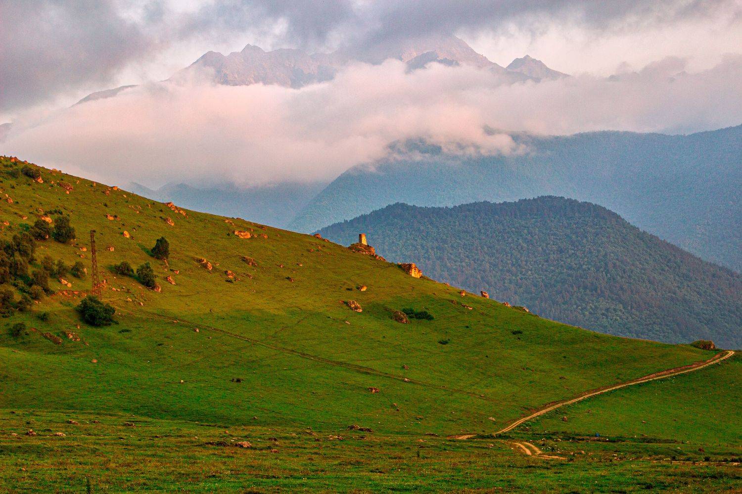 Автор: Adam Yandiev , Adam Yandiev