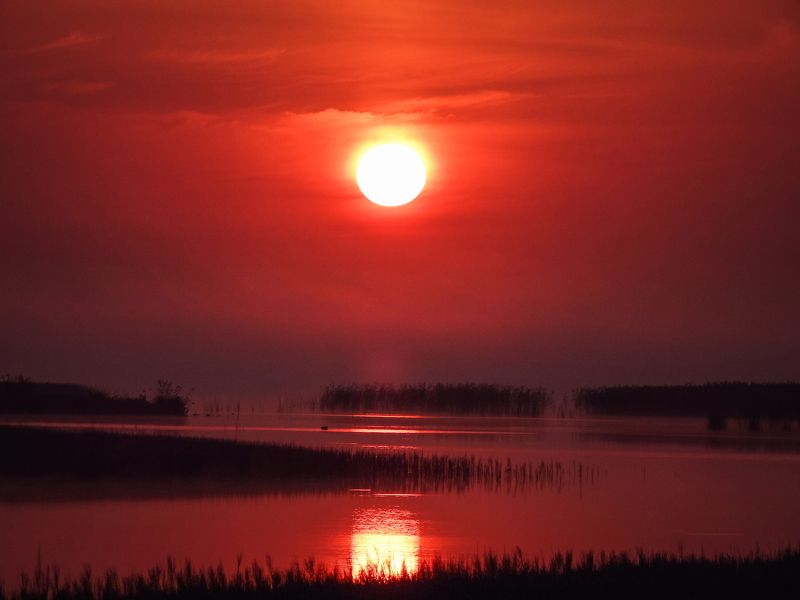 Ясное - красноеphoto preview