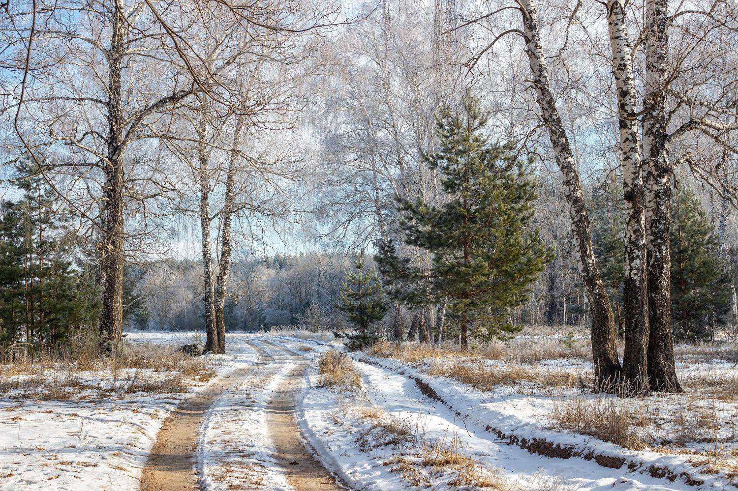 Автор: Востриков Руслан лес, деревья, зима, иней, природа, Востриков Руслан