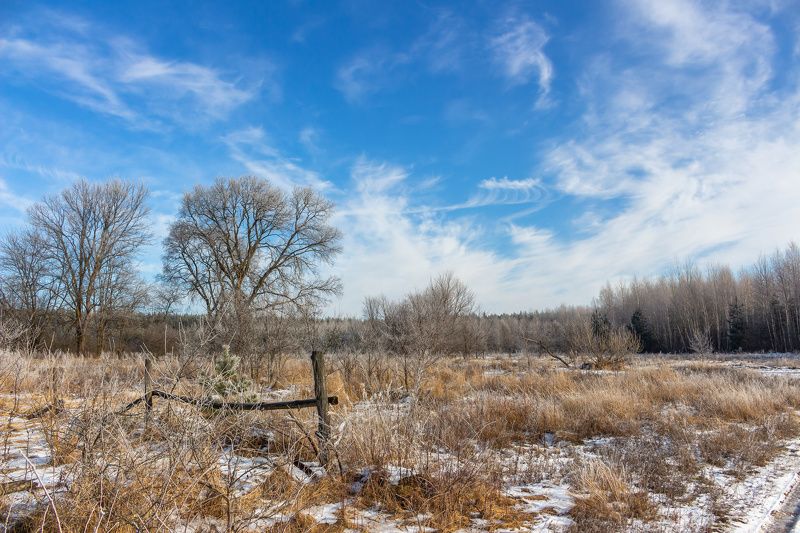 лес, зима, иней, деревья photo preview