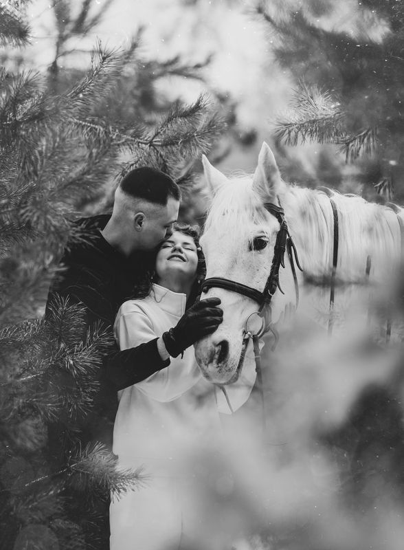 девушка, снег, снегопад, зима, любовь, дружба, семья, лошадь photo preview