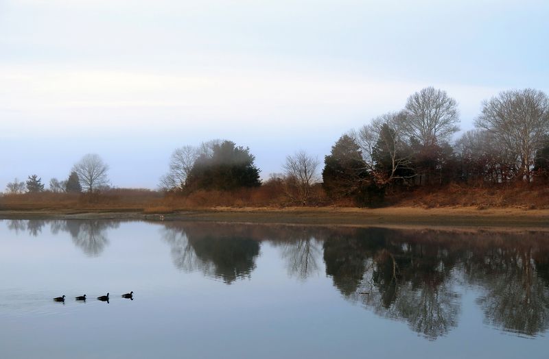 перспектива, у, воды Земля создана не для людейphoto preview