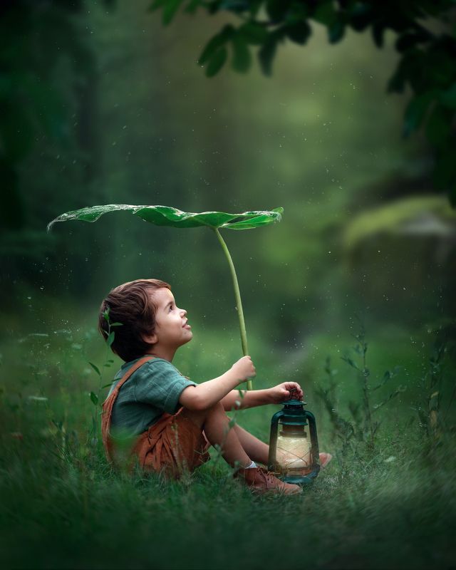 photograph Lluvia magicaphoto preview