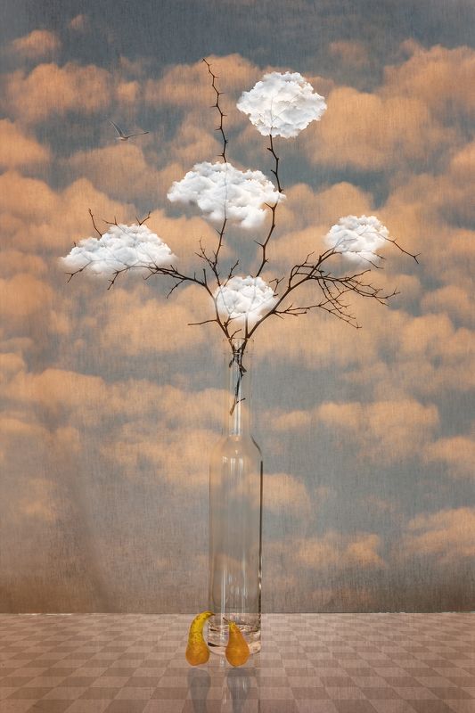 bird, blue, branches, bottle, cloud, clouds, collage, color, colors, concept, conceptual, digital, digital art, photo collage, photography, sky, still life, surreal, surrealism, Beginning of a New Journeyphoto preview
