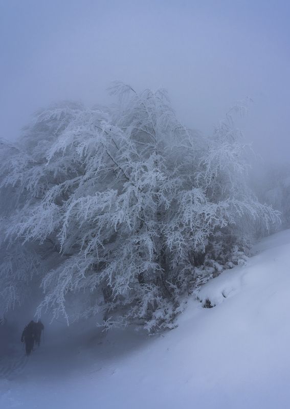 landscape nature vertical hiking winter Winer in Bulgariaphoto preview