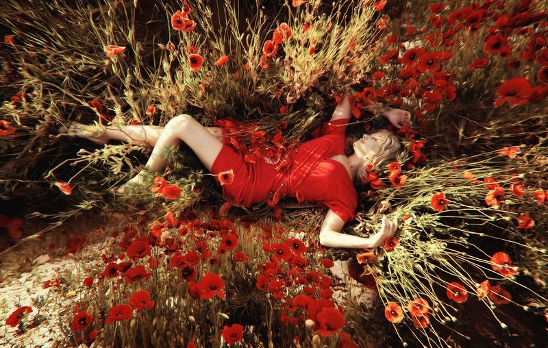 фотосессия в маках, маки, маковое поле Надежда на будущееphoto preview