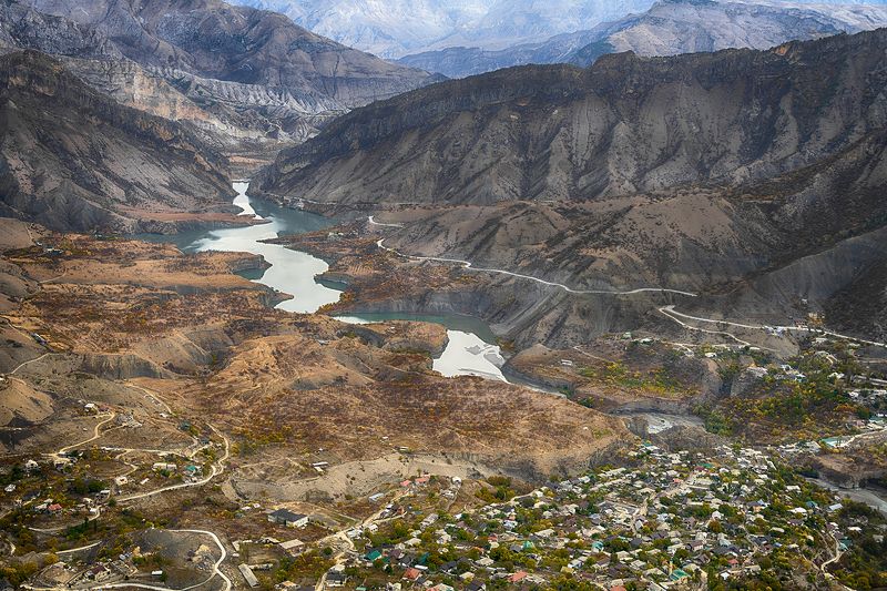 Жизньphoto preview