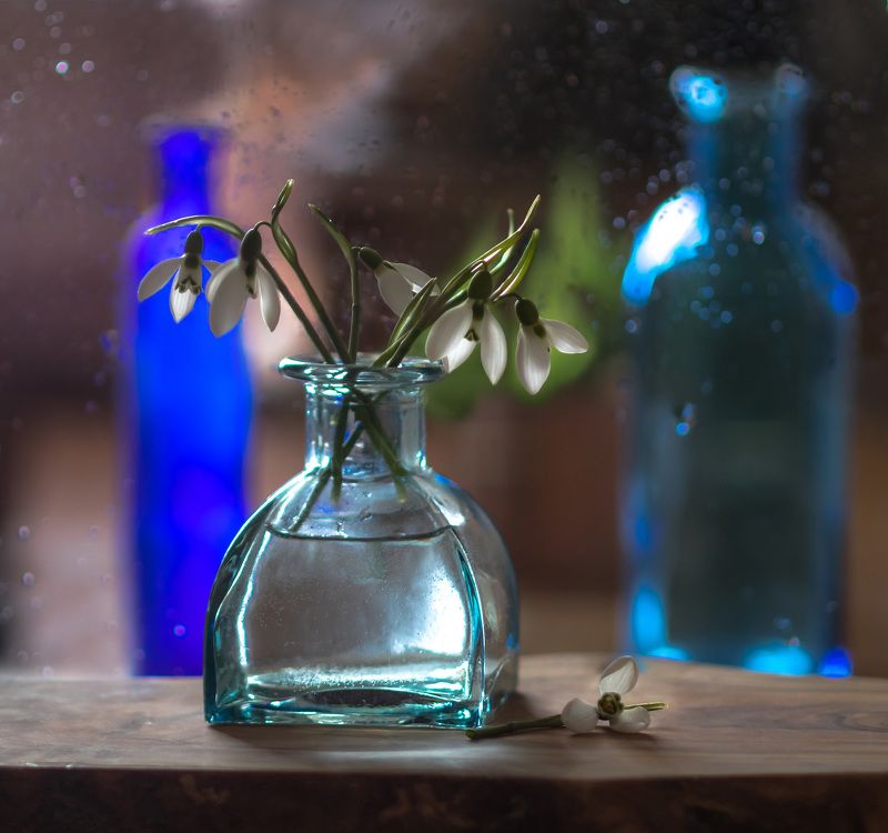 натюрморт,зима,цветы,этюд,подснежники,макро,свет,ваза,стекло, Январские подснежники...photo preview