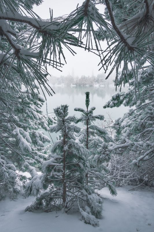 У Юлибейного озераphoto preview